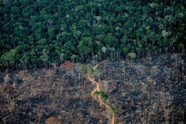An aerial view shows a deforested area of Amazonia rainforest in Labrea, Amazonas state, Brazil, on Sept. 15, 2021. (Mauro Pimentel/AFP via Getty Images)