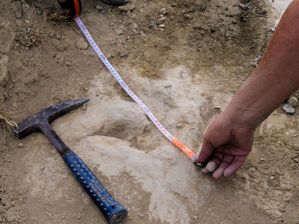 Footprints in Spain Show Meat-Eating Dinosaurs Were Fast and Furious