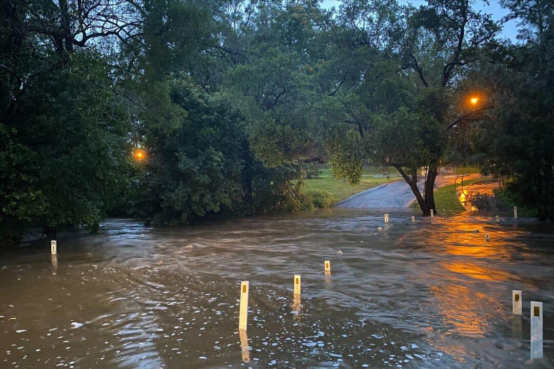 Australian Woman Dies in Flooded Creek After Car Swept From Fast Food Drive Thru