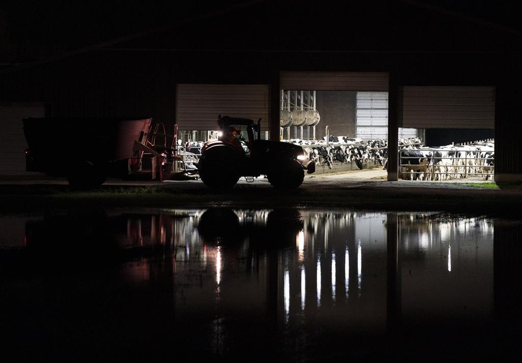 Visit to Flooded Farm Gives ‘Greater Sense of Loss’: BC Agriculture Minister