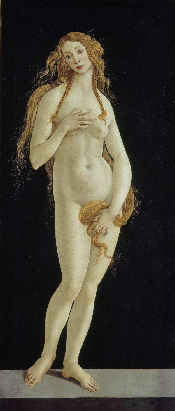 “Venus Pudica (‘Modest Venus’),” circa 1485–1490, by Botticelli. Oil on canvas; 62 1/4 inches by 27 inches. Art Gallery, State Museums of Berlin, Berlin. (BPK, Berlin, Dist. RMN-Grand Palais/Jörg P. Anders)