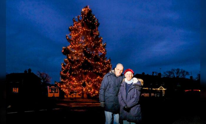 Christmas Tree Planted on Elderly UK Couple’s Property in 1978 Is Now 50 Feet Tall