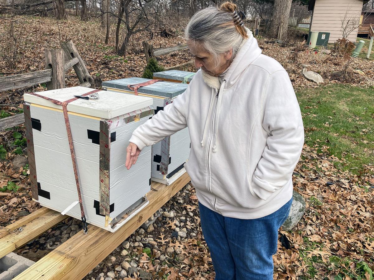 Deb Graff checks on a beehive at the back of her property in Windsor, Wis. on Dec. 14, 2021. (Joseph Hanneman/The Epoch Times)