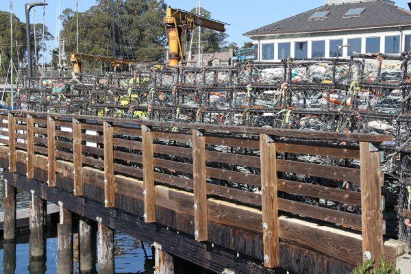 Crab-caging equipment at Santa Cruz Harbor in Santa Cruz, Calif., on Dec. 10, 2021. (David Lam/The Epoch Times)