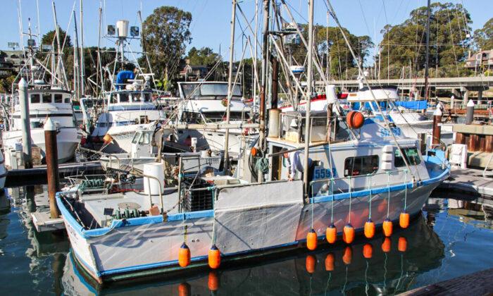 California Monterey Bay Area Open for Crabbing After Delay