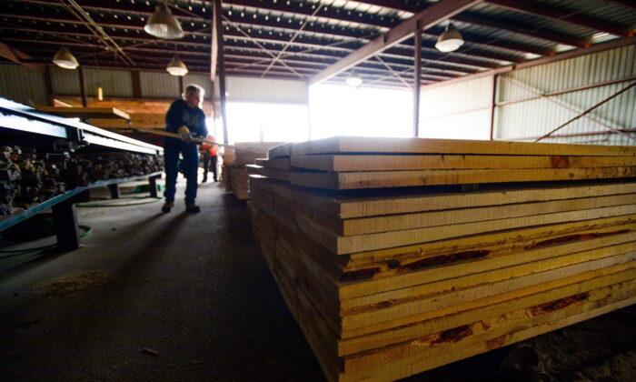 Lumber Prices Crash Amid Elevated Home Prices