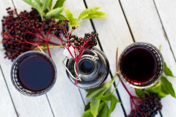 Elderberries have a long history as a health aide, particularly for immuno-support. (By Rostislav_Sedlacek/Shutterstock)