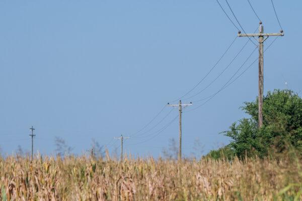 Power-lines are shown on June 15, 2021 in Ganado, Texas. (Brandon Bell/Getty Images)