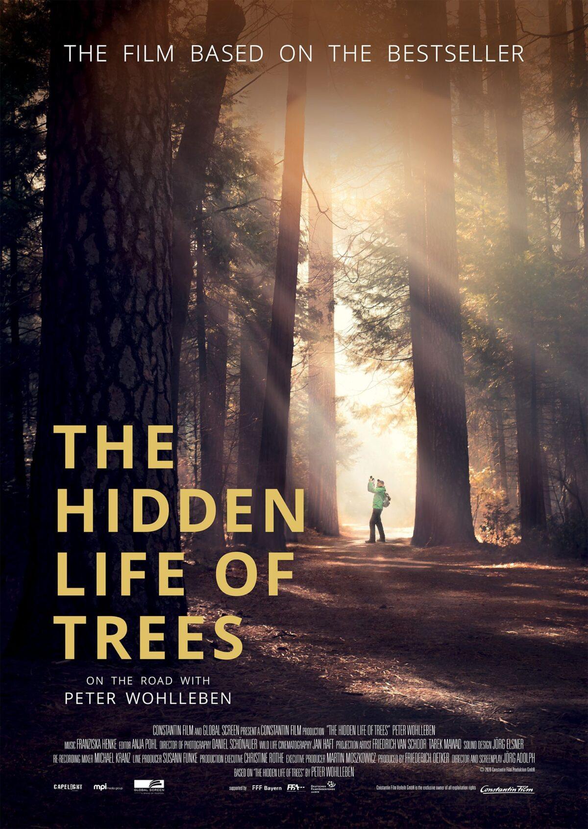 Movie poster for "The Hidden Life of Trees." (MPI/Capelight Pictures)