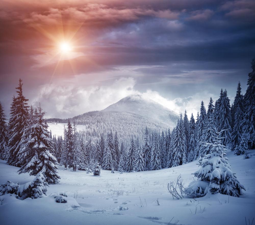 Winter makes life hard, but—ah—the beauty! (Creative Travel Projects/Shutterstock)