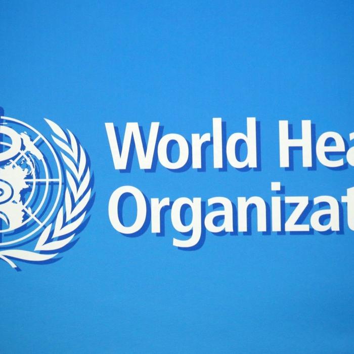 WHO Rules the World?