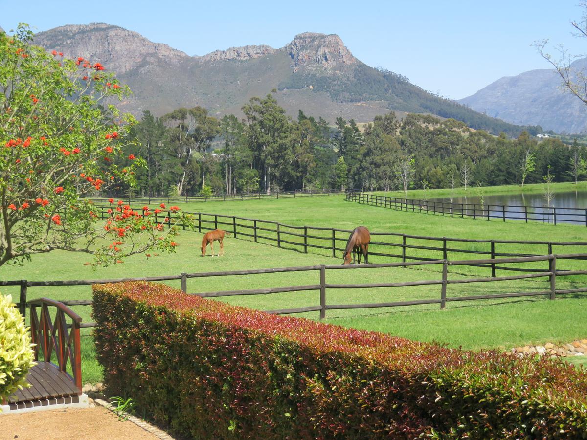 Intended as a breeding center for thoroughbred polo ponies, the estate was built on a transformed farm and vineyard. The property could easily be transformed into a riding academy or venue. (Courtesy of Val du Lac estate)