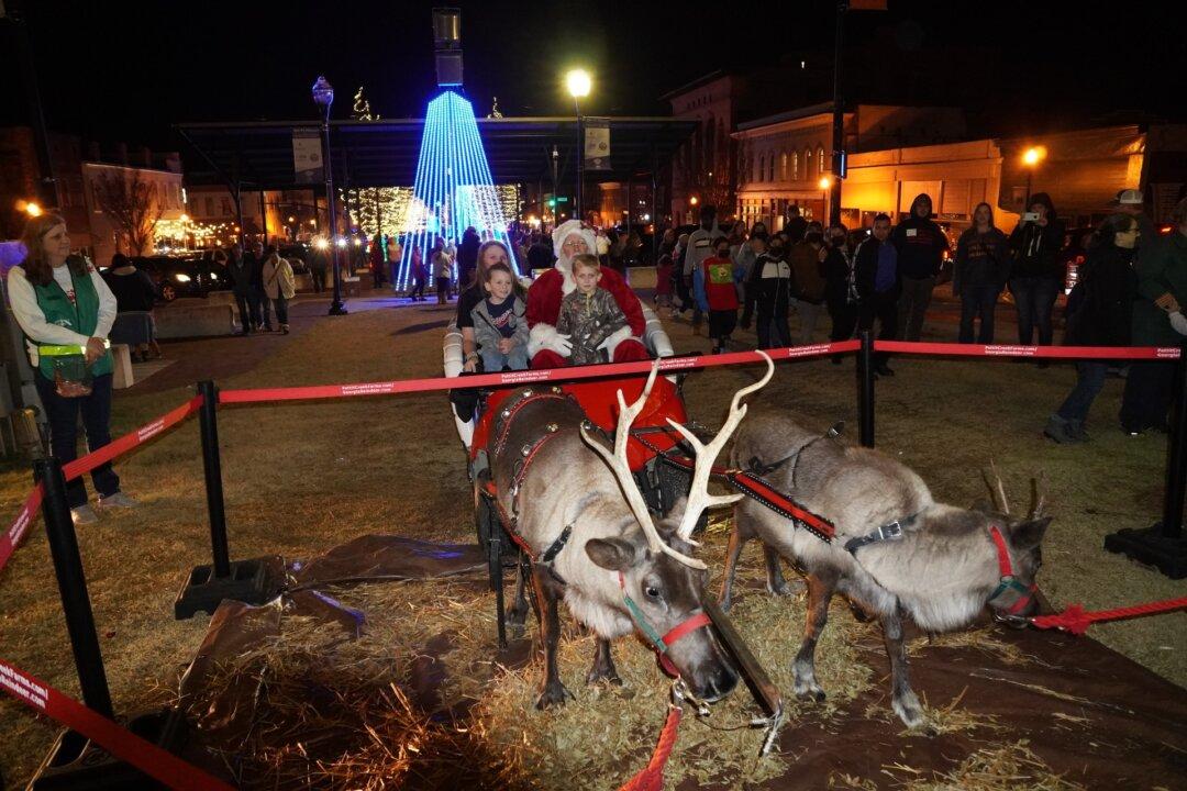 Reindeer Rentals Bring Christmas Vibes to the Sun Belt