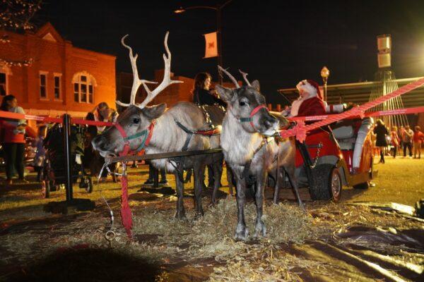 Comet and Cupid, a mother-daughter team of reindeer from Pettit Creek Farms, calmly take in the sights at a public Christmas celebration in downtown Macon, Ga., on Dec. 19, 2021. (Natasha Holt/The Epoch Times)