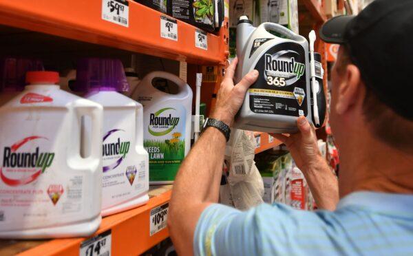 A customer shops for Roundup products at a store in San Rafael, California, on July, 9, 2018. (JOSH EDELSON/AFP via Getty Images)