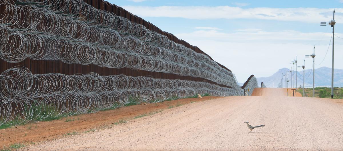 "Blocked" by Alejandro Prieto, Mexico. A greater roadrunner approaches the border wall at Naco, Arizona. (©Alejandro Prieto/<a href="http://www.birdpoty.com/">Bird Photographer of the Year</a>)