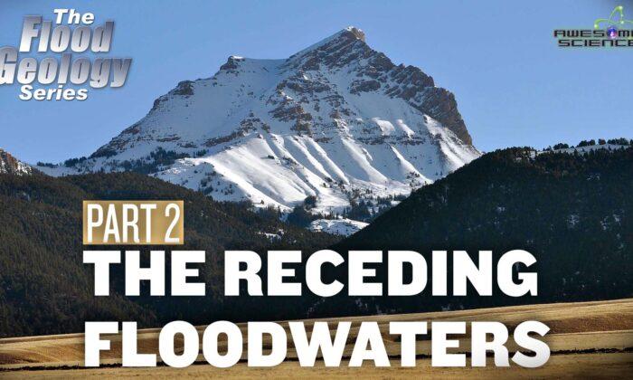 Flood Geology Series (Episode 10):  Receding Floodwaters Part2