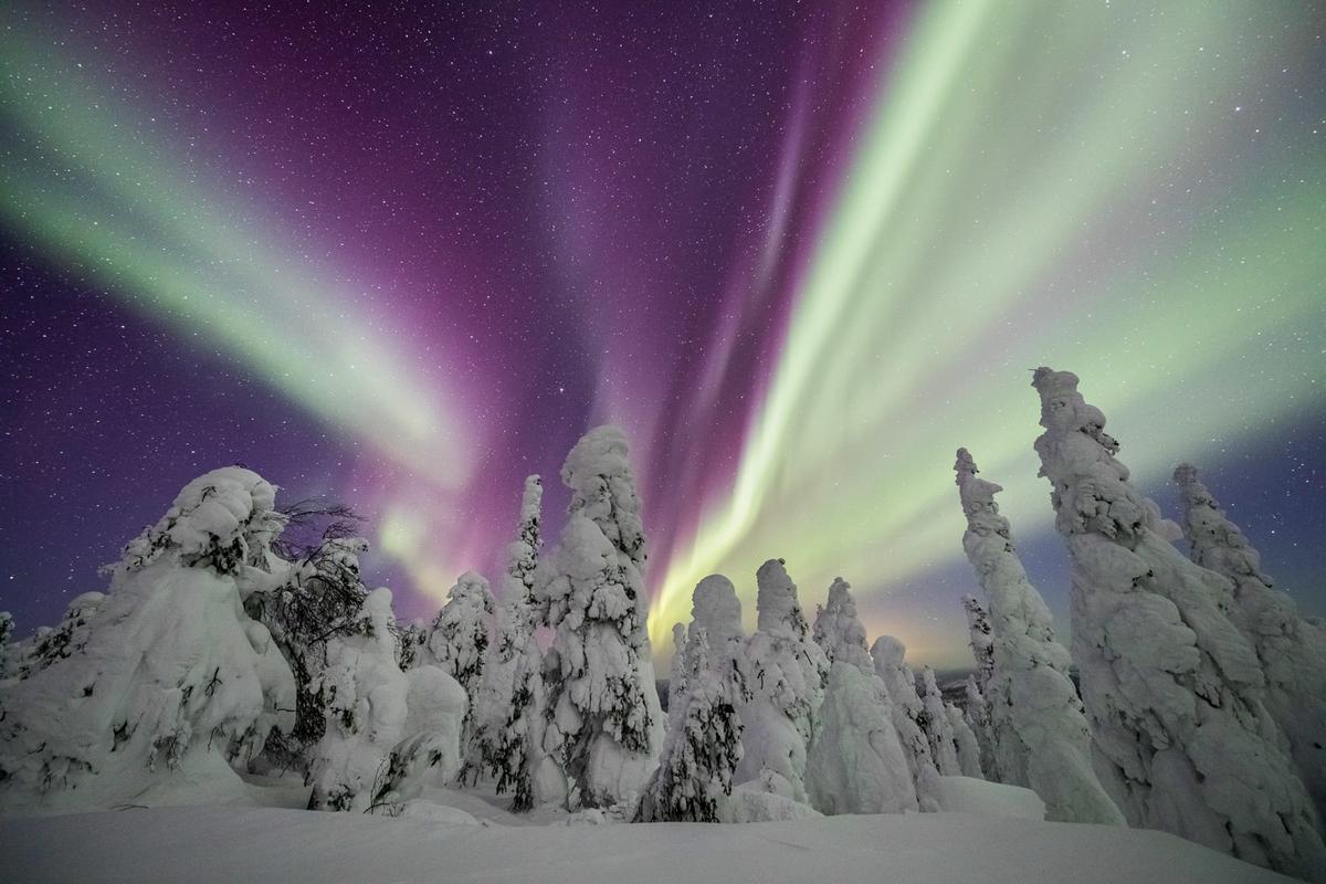 “Narnia” by Amy J. Johnson, Alaska. (Courtesy of Amy J. Johnson via <a href="https://capturetheatlas.com/">Capture the Atlas</a>)