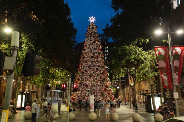 The Martin Place Christmas tree lights up in Sydney, Australia, on Nov. 28, 2020. (Brook Mitchell/Getty Images)