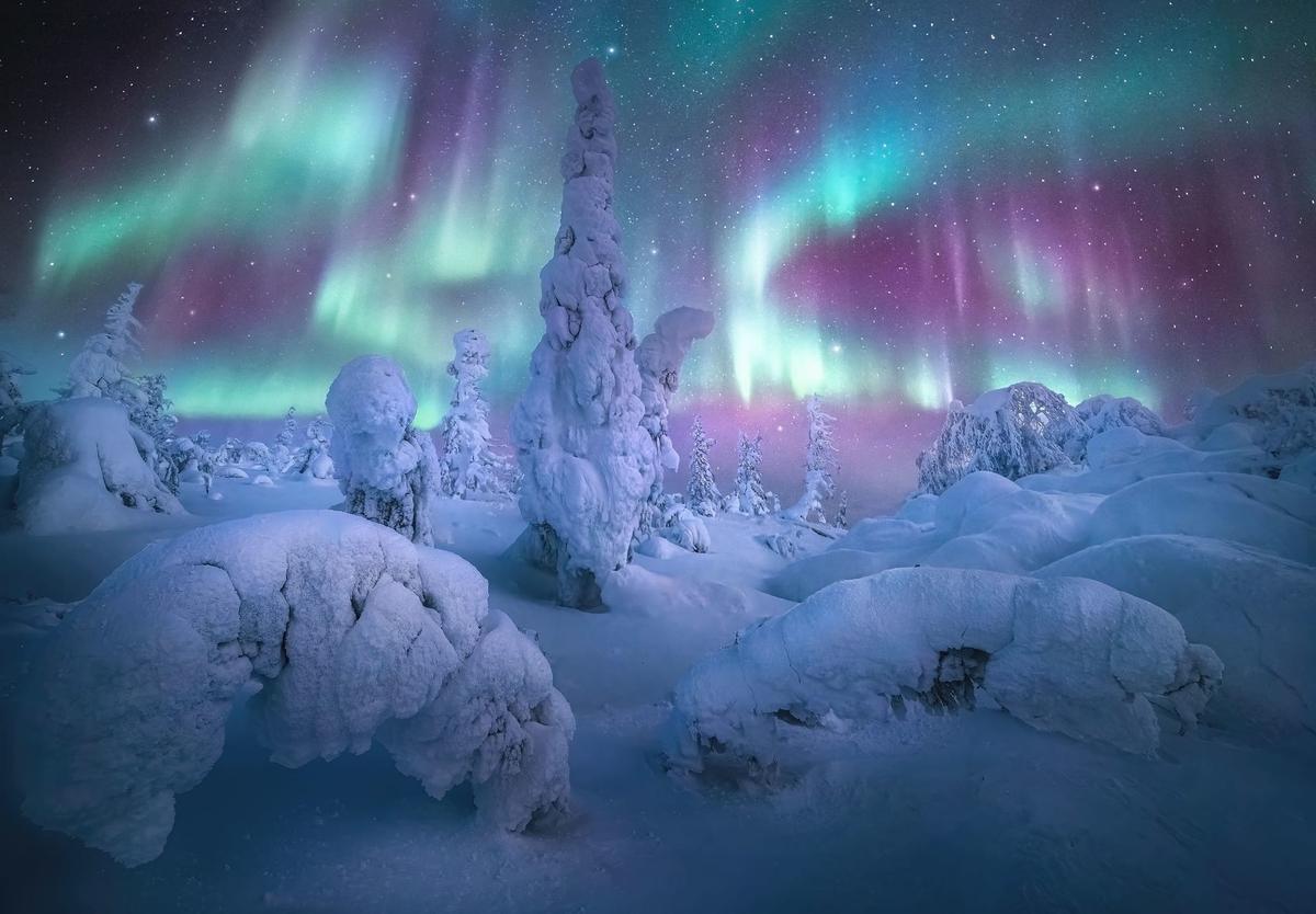 “Forest of the Lights” by Marc Adamus, Alaska, U.S.A. (Courtesy of Marc Adamus via <a href="https://capturetheatlas.com/">Capture the Atlas</a>)