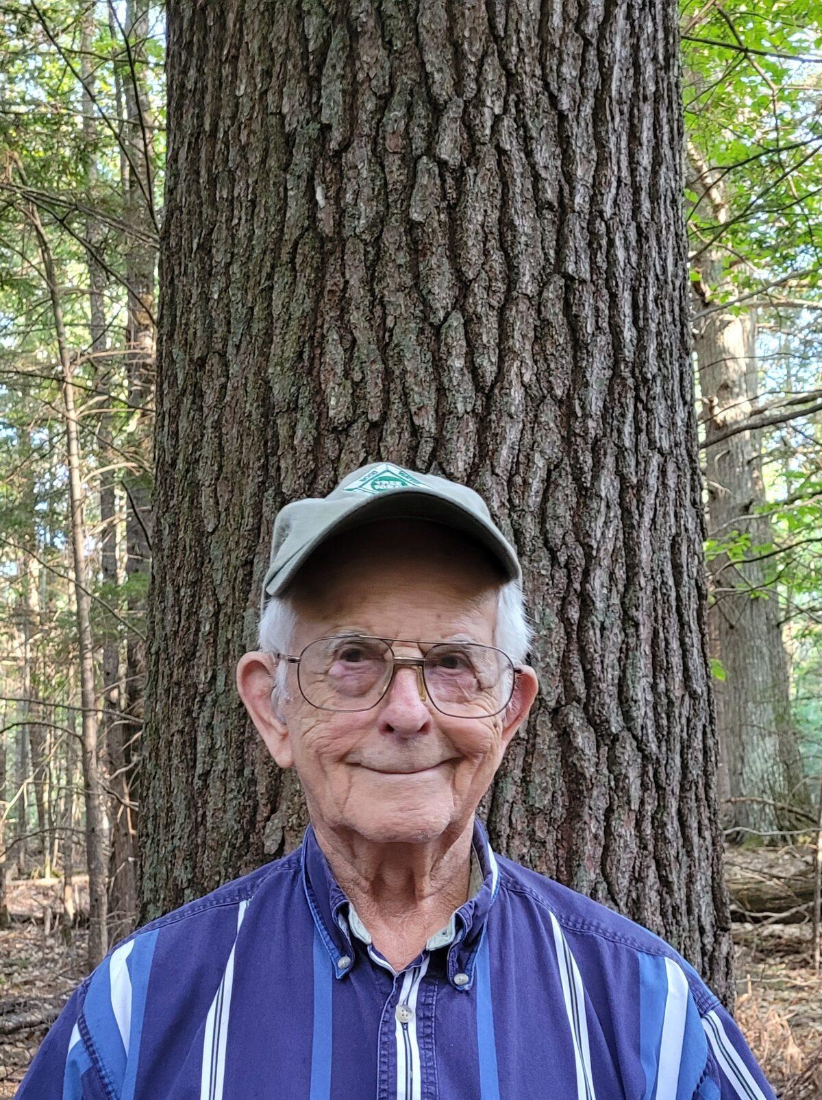 Cliff Foster with a 121-year-old, 110-foot white pine tree. The tree is three feet in diameter and would fetch around $8,000 on the retail market when cut into planks. His son Greg might not cut it, because it has sentimental value. (Peter Falkenberg Brown)