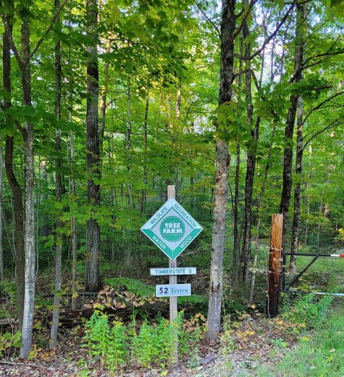 The Timberstate G sign at the entrance to a one-hundred-acre lot of timber. (Peter Falkenberg Brown)