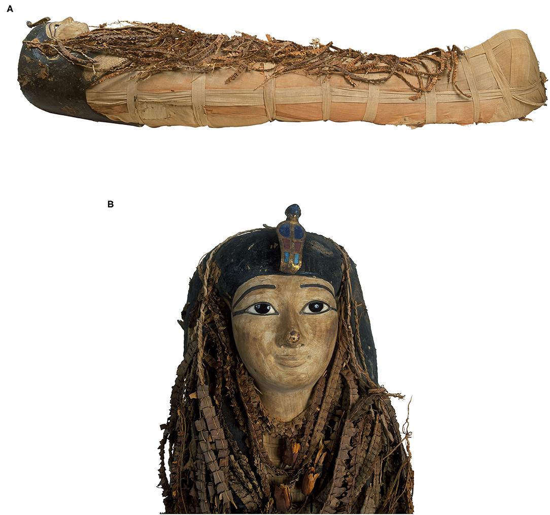 The mummy of Amenhotep I with a mask of painted wood and cartonnage. (Courtesy of Sahar N. Saleem & Zahi Hawass)