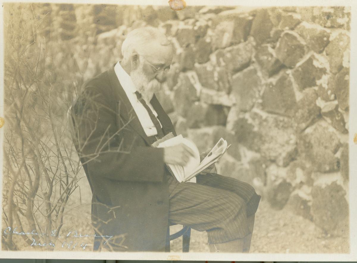 Bessey at work. (Courtesy of the Charles E. Bessey, Botany Papers, Archives & Special Collections, University of Nebraska-Lincoln Libraries)