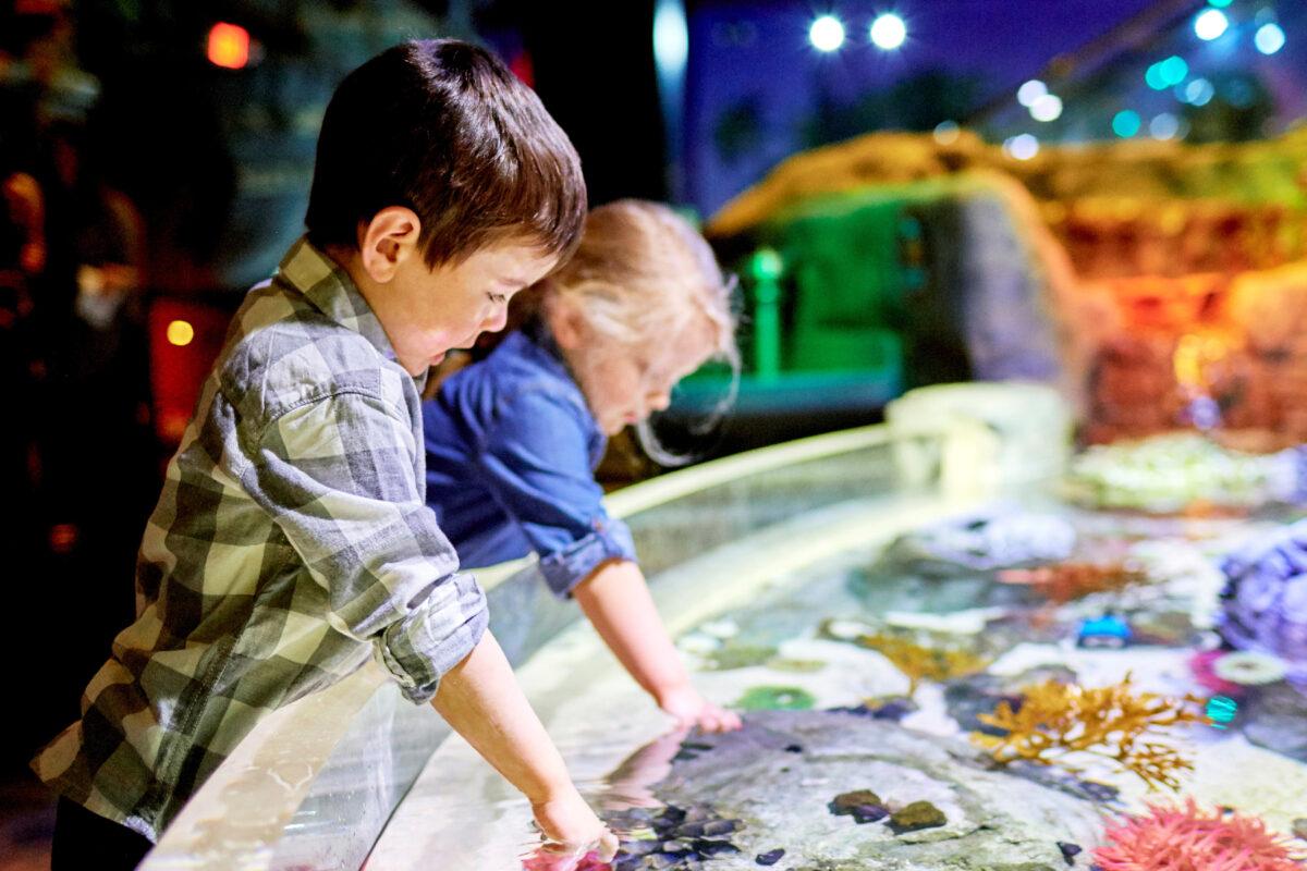 Children interact with sea creatures at the aquarium in the Mall of America near Minneapolis, Minnesota. (Courtesy of Mall of America)
