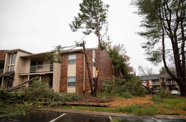 Downed trees and limbs sit broken in the grass outside the Ashton Parc apartments off Scottsville Road in Bowling Green, Ky., following the devastating tornadoes that tore through town on Dec. 11, 2021. (Grace Ramey/Bowling Green Daily News via AP)