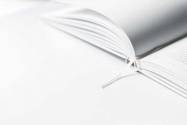 Stock photo of a book. (Olia Gozha/Unsplash)