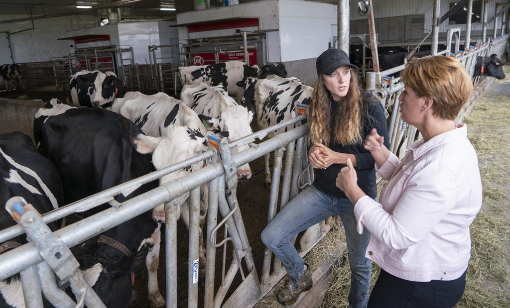Both Sides Claim Victory After US Complaint About Canada's Dairy Quota Practices