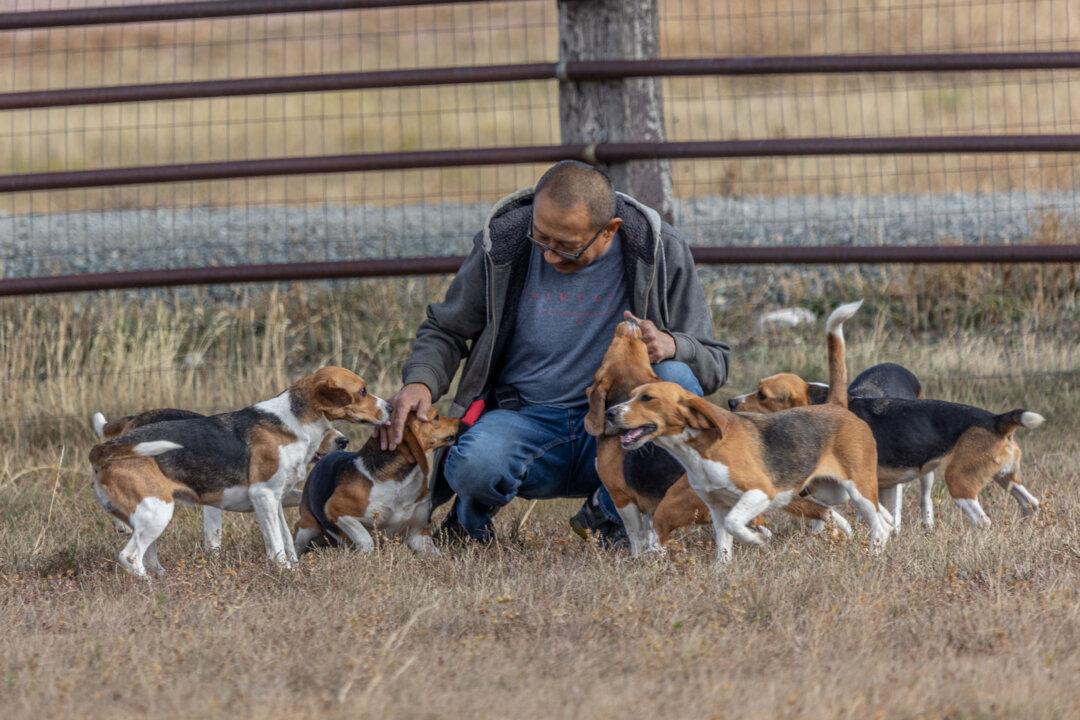 Rescue Organizations Work to Give Animals That Have Endured Years of Experimentation a New Life