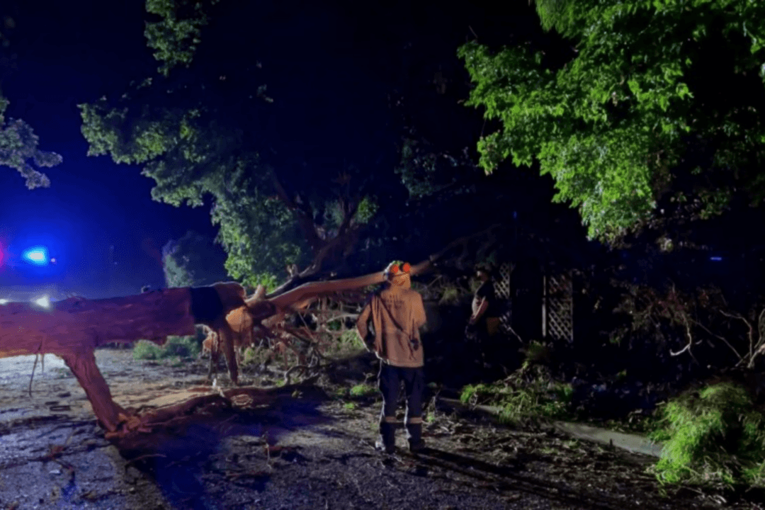 Days to Clean Up After Storm Hits Australian Capital Canberra