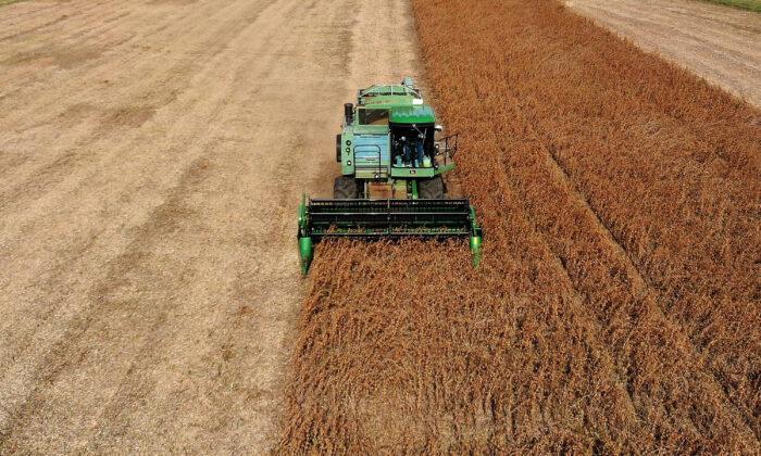Farmers’ Sentiment Rises Amid Surging Commodity Prices: Study