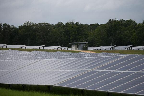 Solar panels at a solar farm owned and operated by Southern Maryland Electric Cooperative Solar LLC, in Hughsville, Md., on Aug. 20, 2015. (Mark Wilson/Getty Images)
