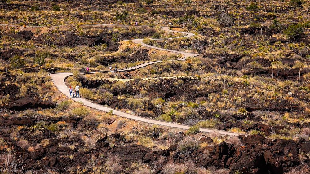Visitors take in the lava fields at Valley of Fires Recreation Area in New Mexico. (CrackerClips Stock Media/Shutterstock)