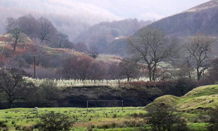 England’s Farmers and Landowners to Bid for Funds to ‘Rewild’ Countryside