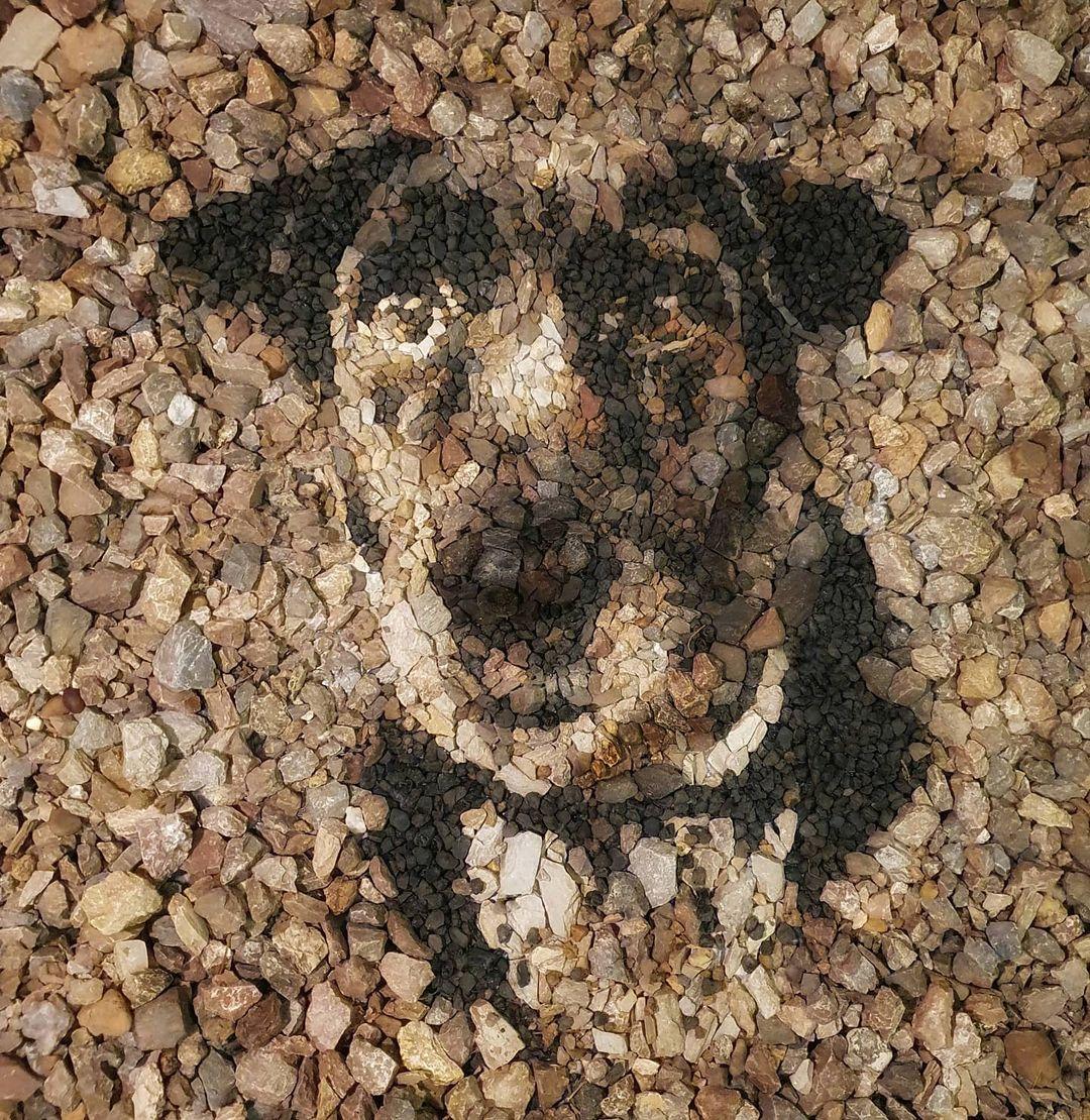A dog portrait in pebbles. (Courtesy of <a href="https://www.facebook.com/justin.bateman1">Justin Bateman</a> and <a href="https://www.instagram.com/pebblepicassos/">@pebblepicassos</a>)