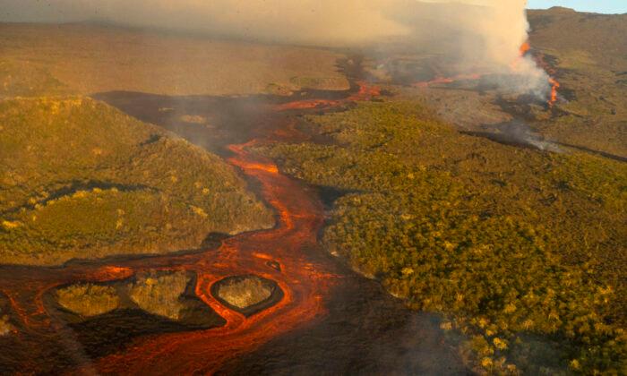 Tallest Galapagos Volcano Erupts, Spewing Lava, Ash