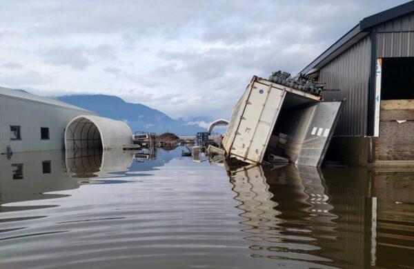 Flooding at CPM Farms, co-owned by Caroline Mostertman, in Sumas Prairie, B.C. (Courtesy of Caroline Mostertman)