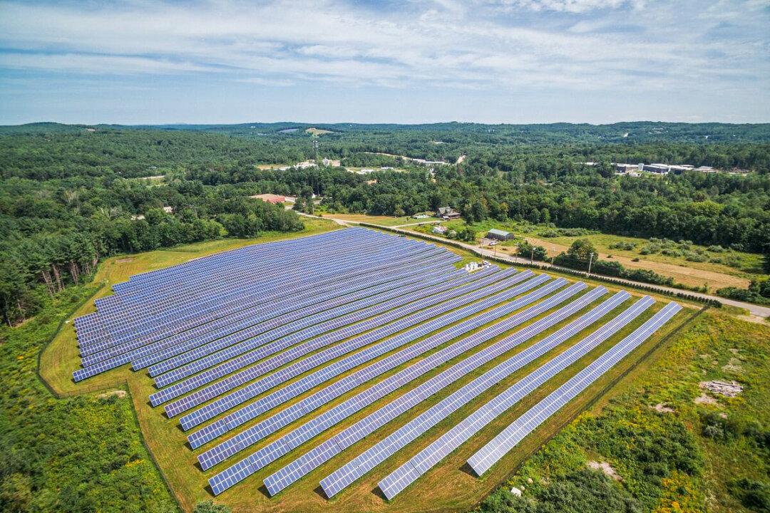 Solar Jobs Market Explodes as Companies Seek Workers to Meet Renewables Demand