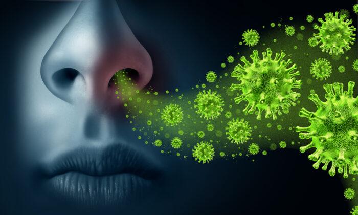 Nose Cells May Be Key Entry Point for Coronavirus