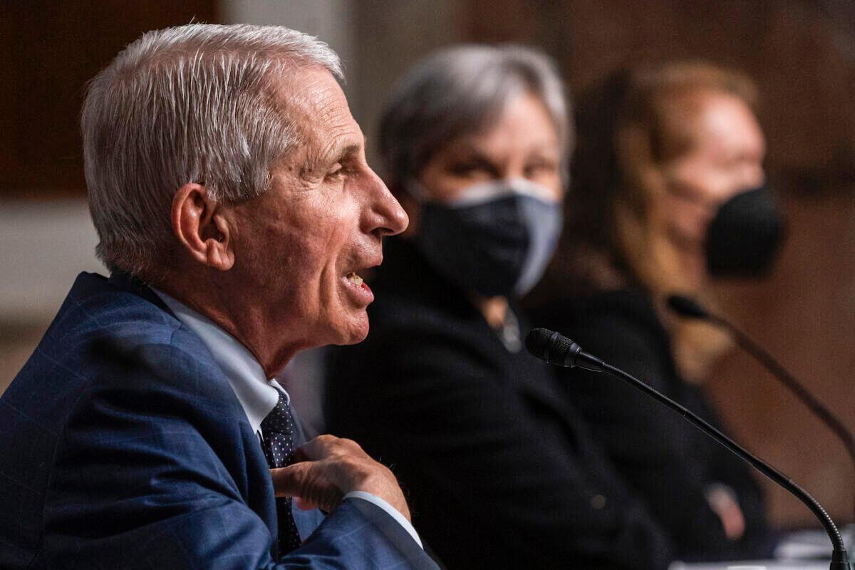 Dr. Anthony Fauci, director of the National Institute of Allergy and Infectious Diseases, testifies during a Senate Health, Education, Labor, and Pensions Committee hearing on Capitol Hill on Jan. 11, 2022 (Shawn Thew/Getty Images)
