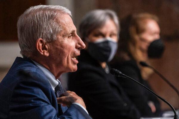Dr. Anthony Fauci, director of the National Institute of Allergy and Infectious Diseases, testifies during a Senate Health, Education, Labor, and Pensions Committee hearing on Capitol Hill on Jan. 11, 2022. (Shawn Thew/Getty Images)