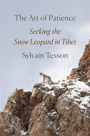 A new book by Sylvain Tesson.
