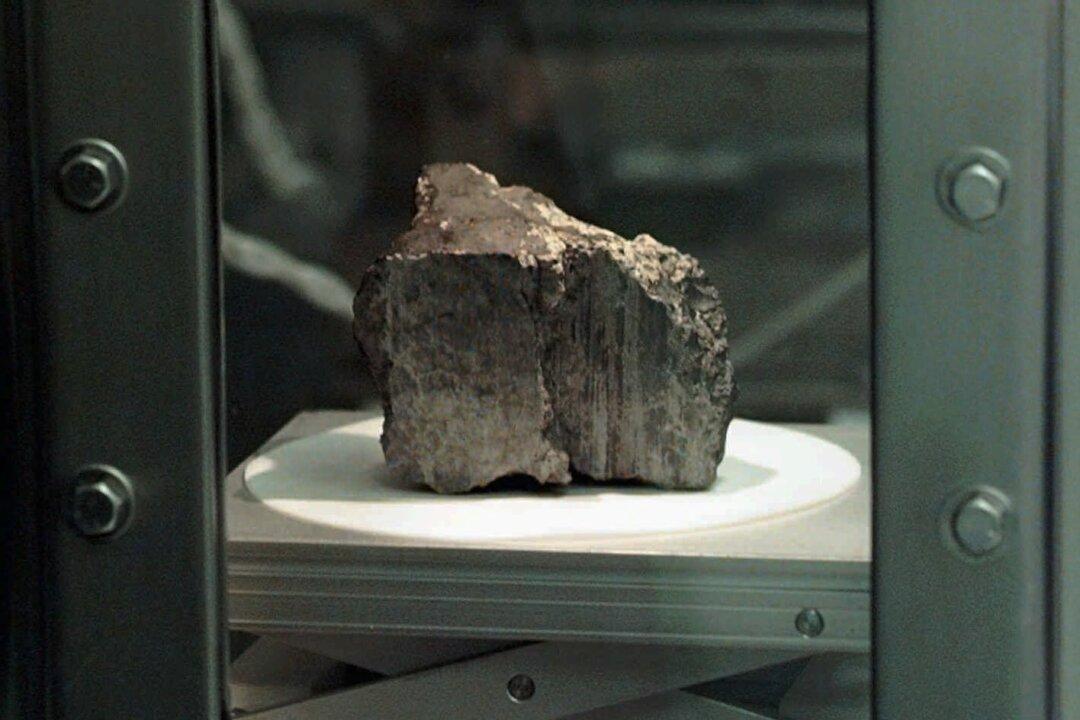 Study Nixes Mars Life in Meteorite Found in Antarctica