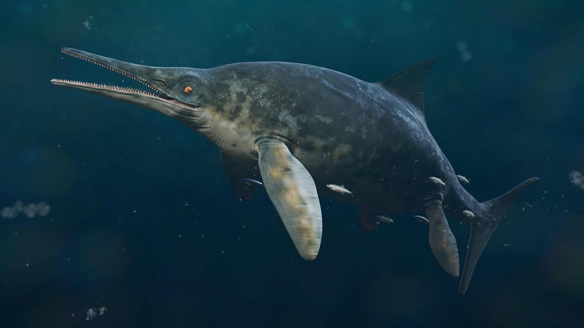 Illustration of a temnodontosaurus species known as an ichthyosaur, dating back to the Jurassic Period some 180 million years ago. (Illustration - Dotted Yeti/Shutterstock)