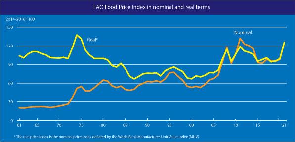 A graph showing the increase in worldwide food prices (Source: Food and Agriculture Organization of the United Nations)
