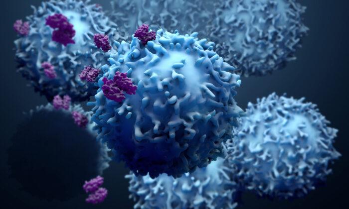 T-cells: The Superheroes in the Battle Against Omicron
